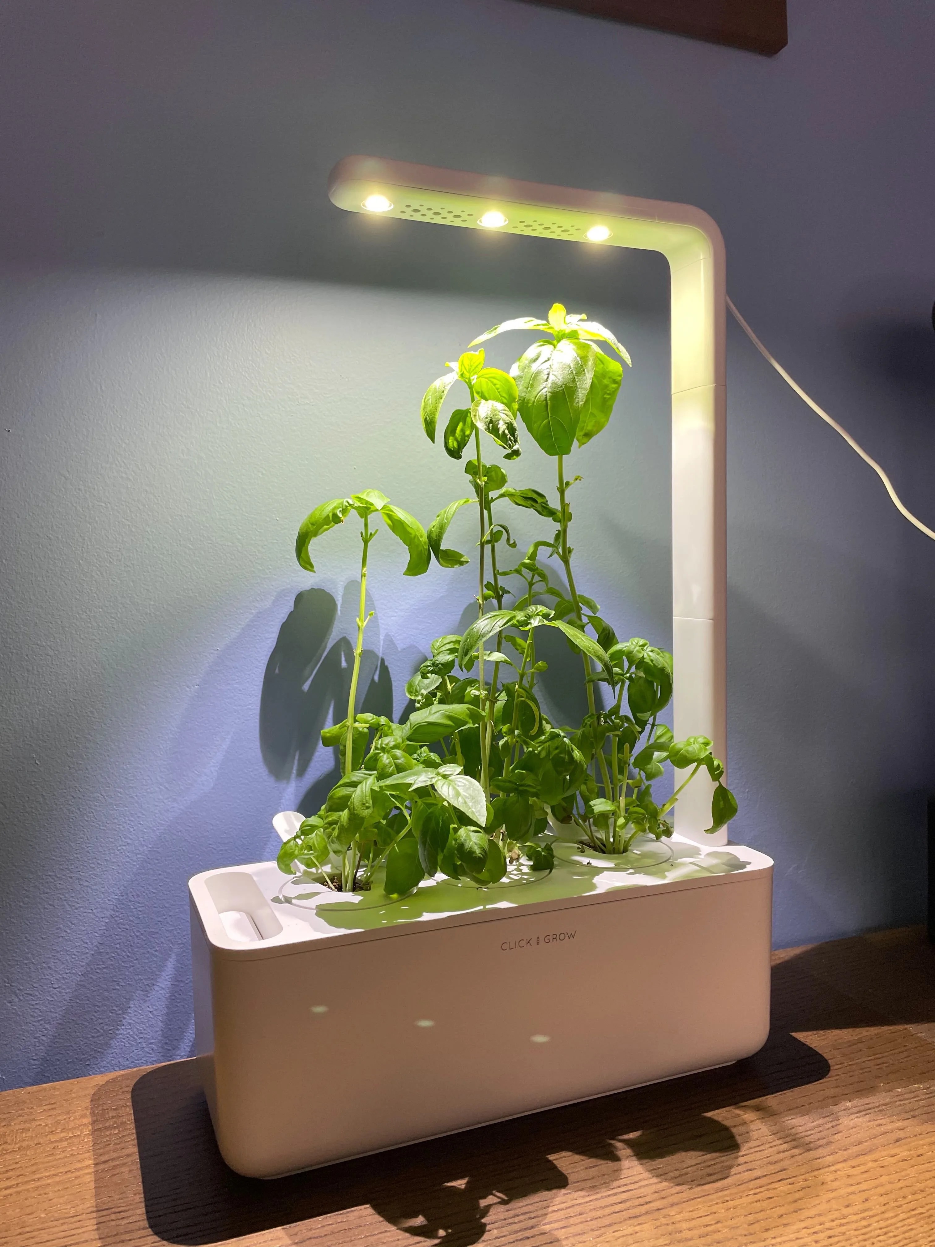 click and grow