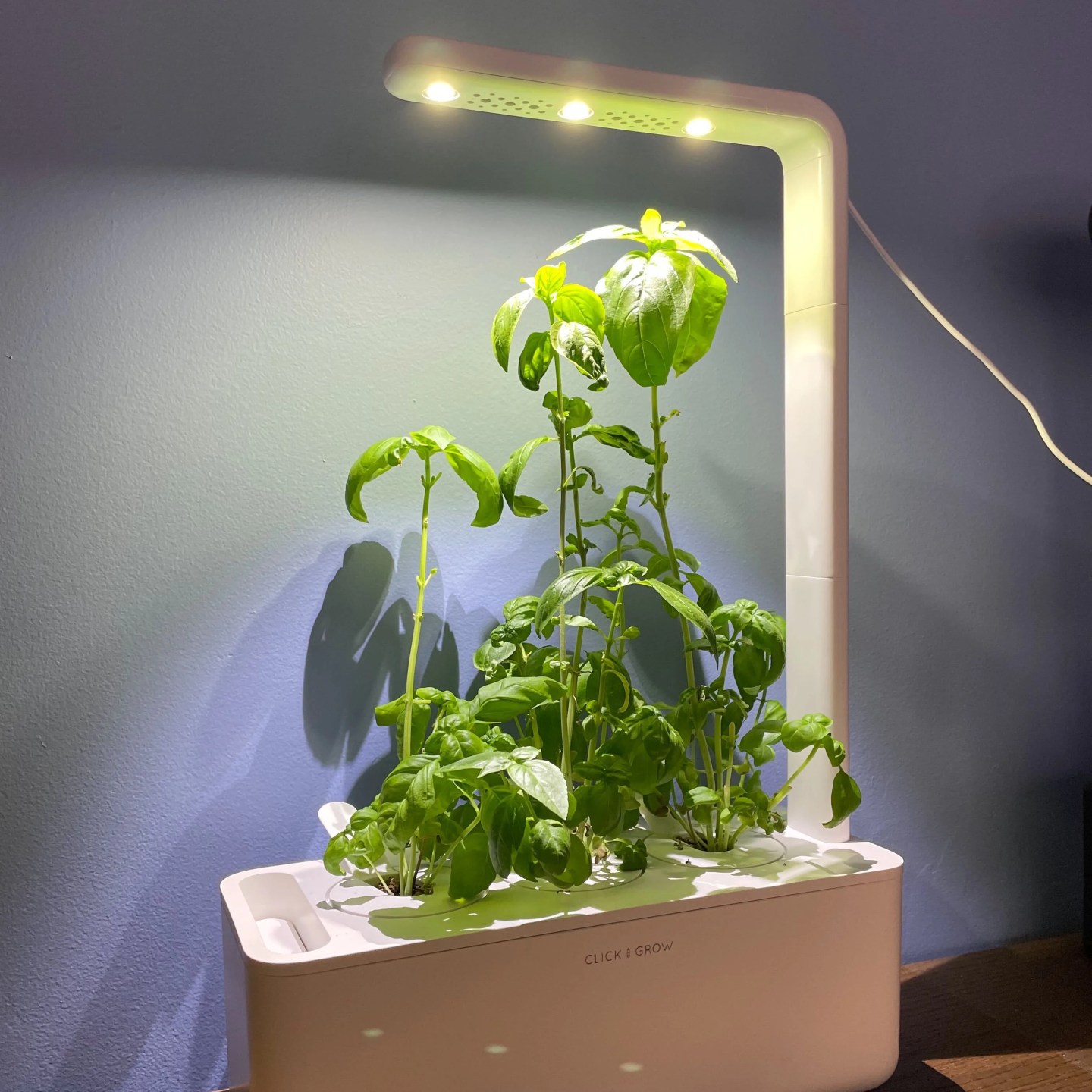 click and grow