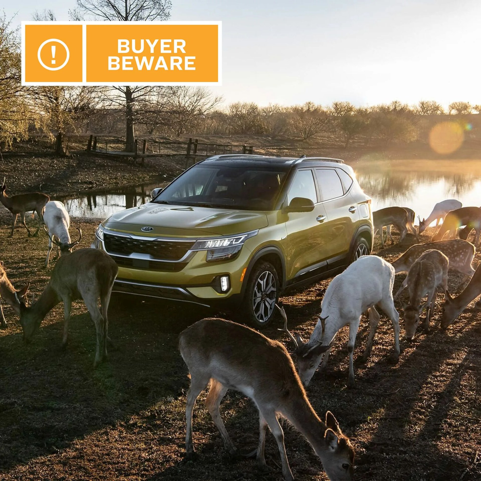 kia crossover surrounded by deer