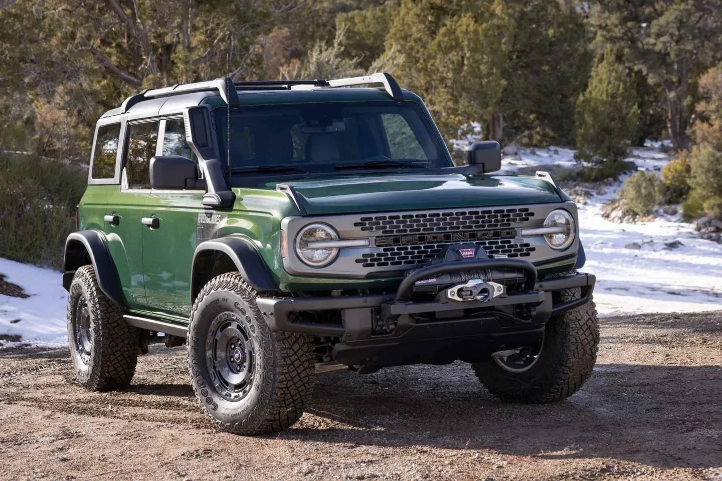 ford bronco everglades