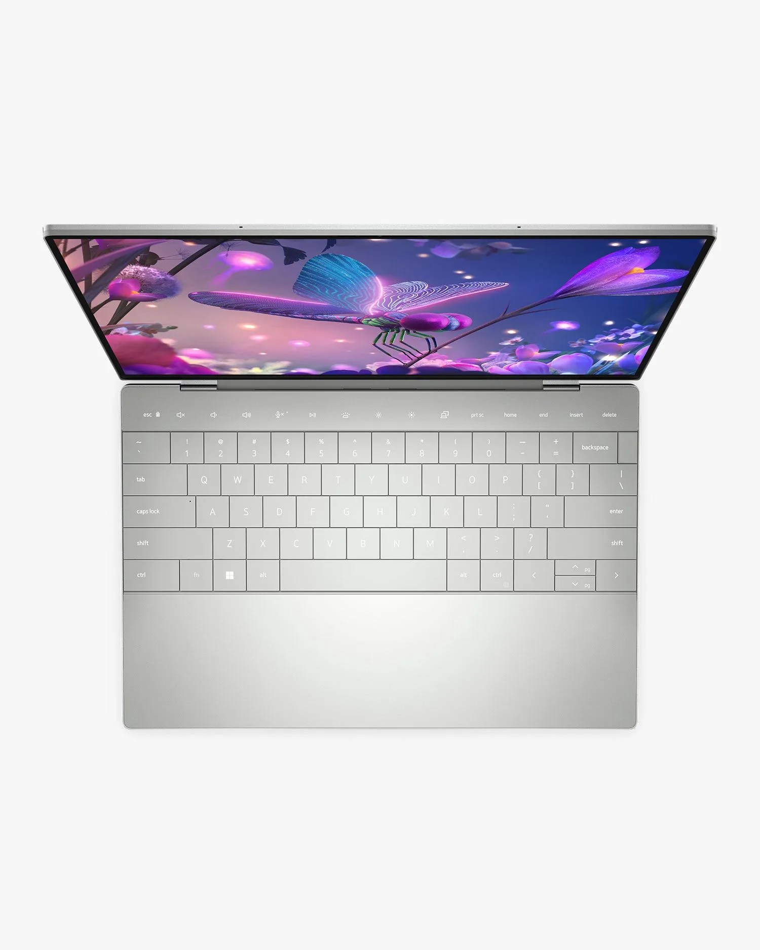 dell xps 13 plus laptop