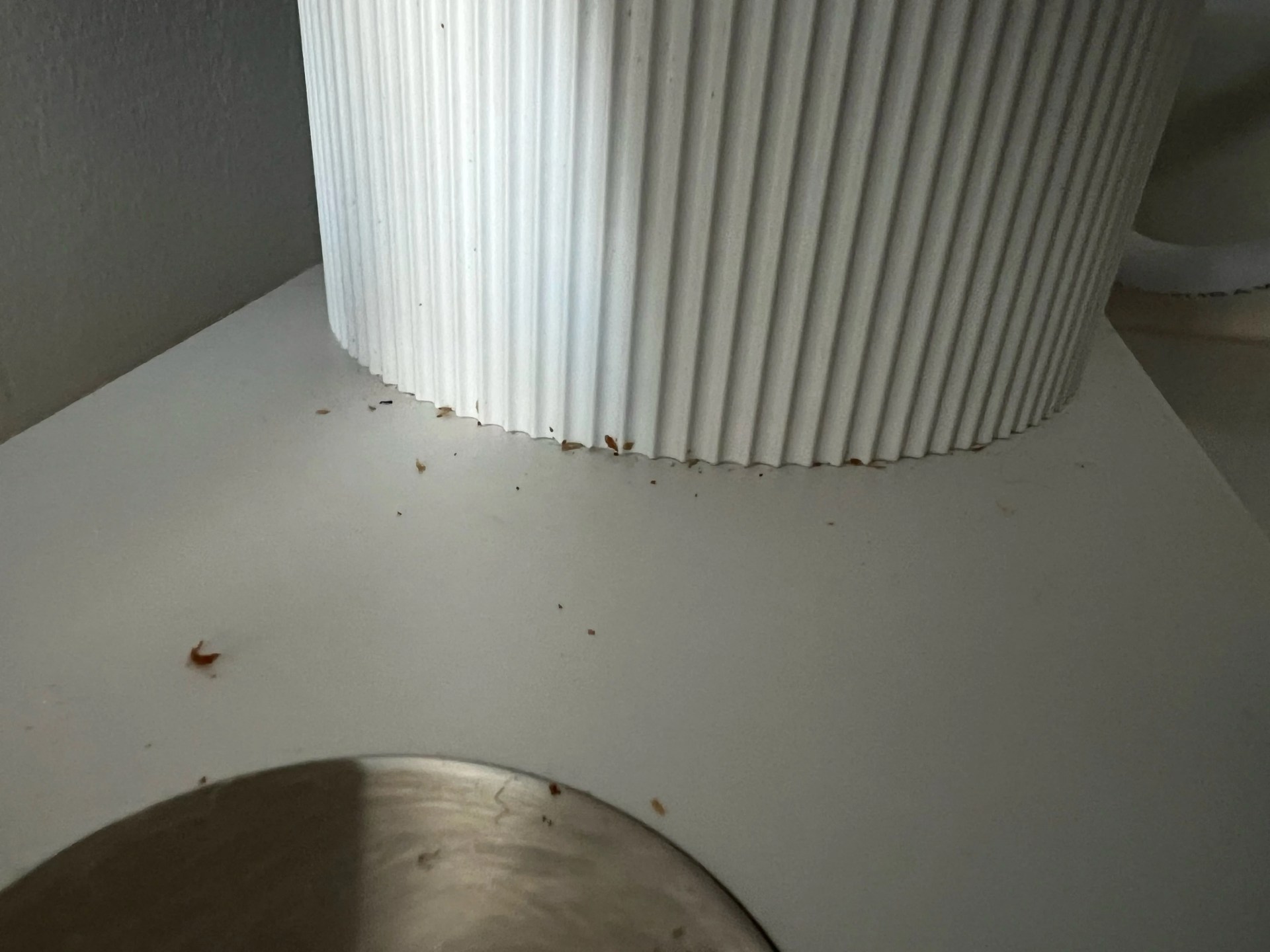 a close up of the fellow coffee grinder