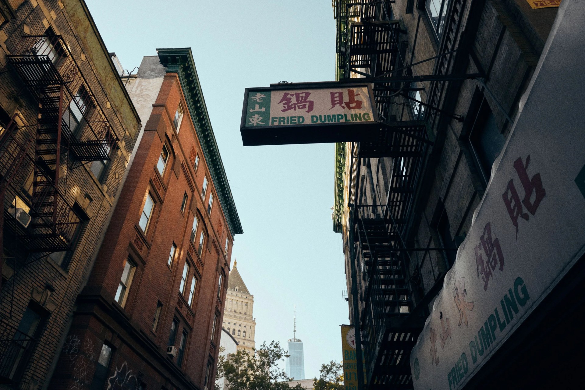 ewool china town dumpling store