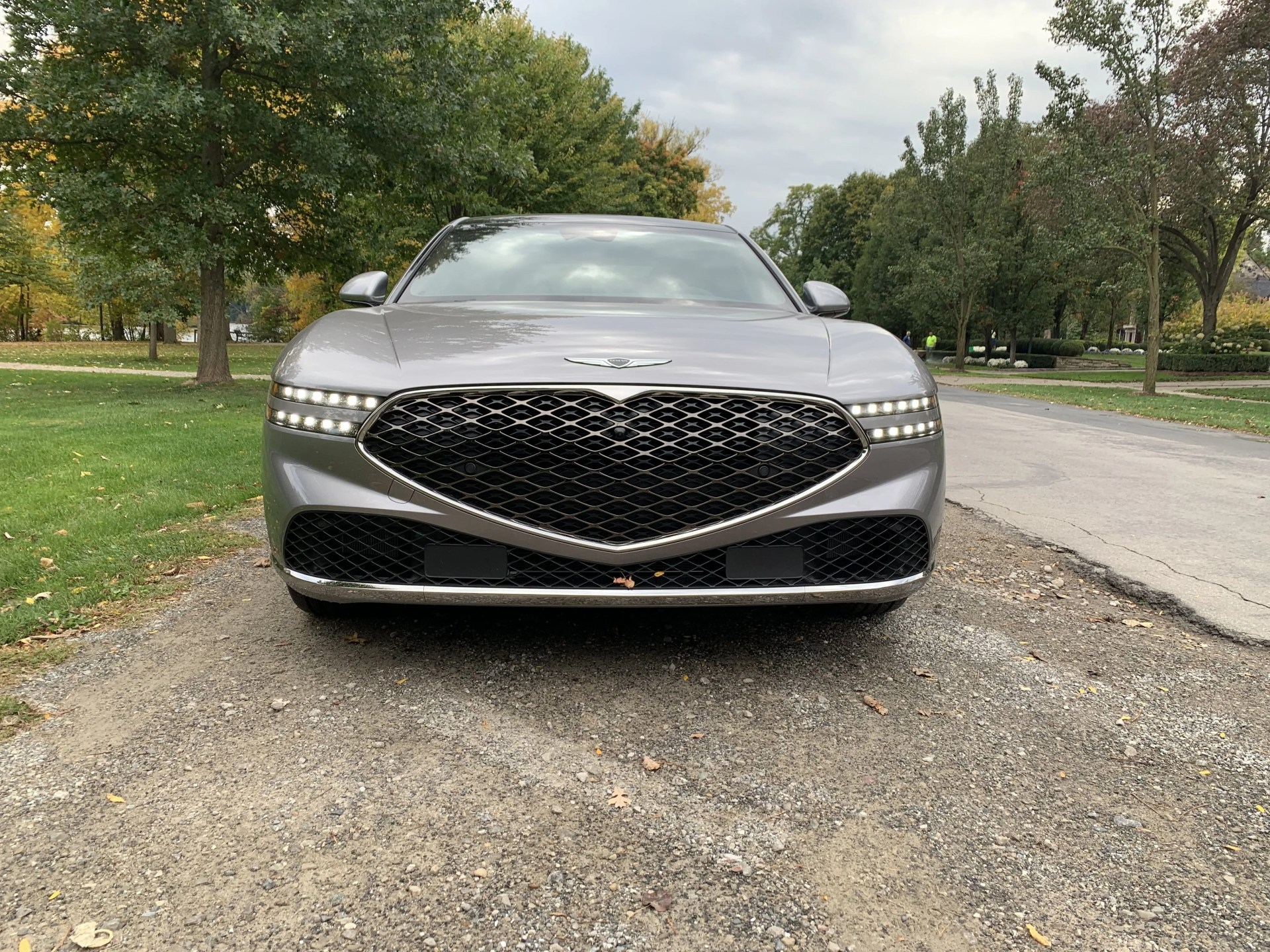 genesis g90 parked next to a park
