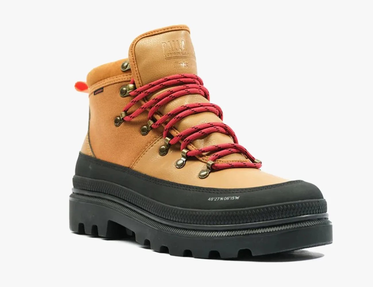 shoe