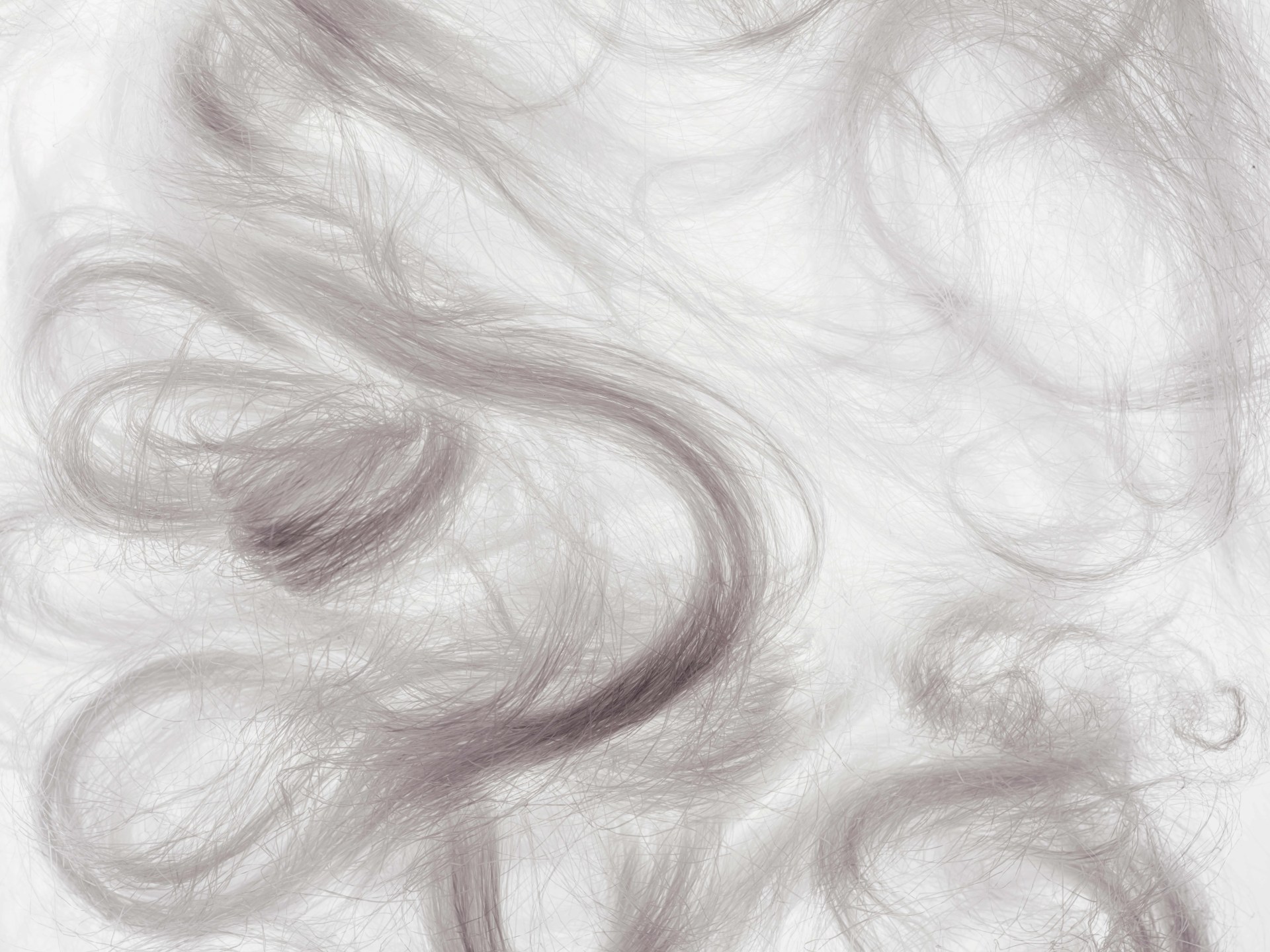 fibers made from wood