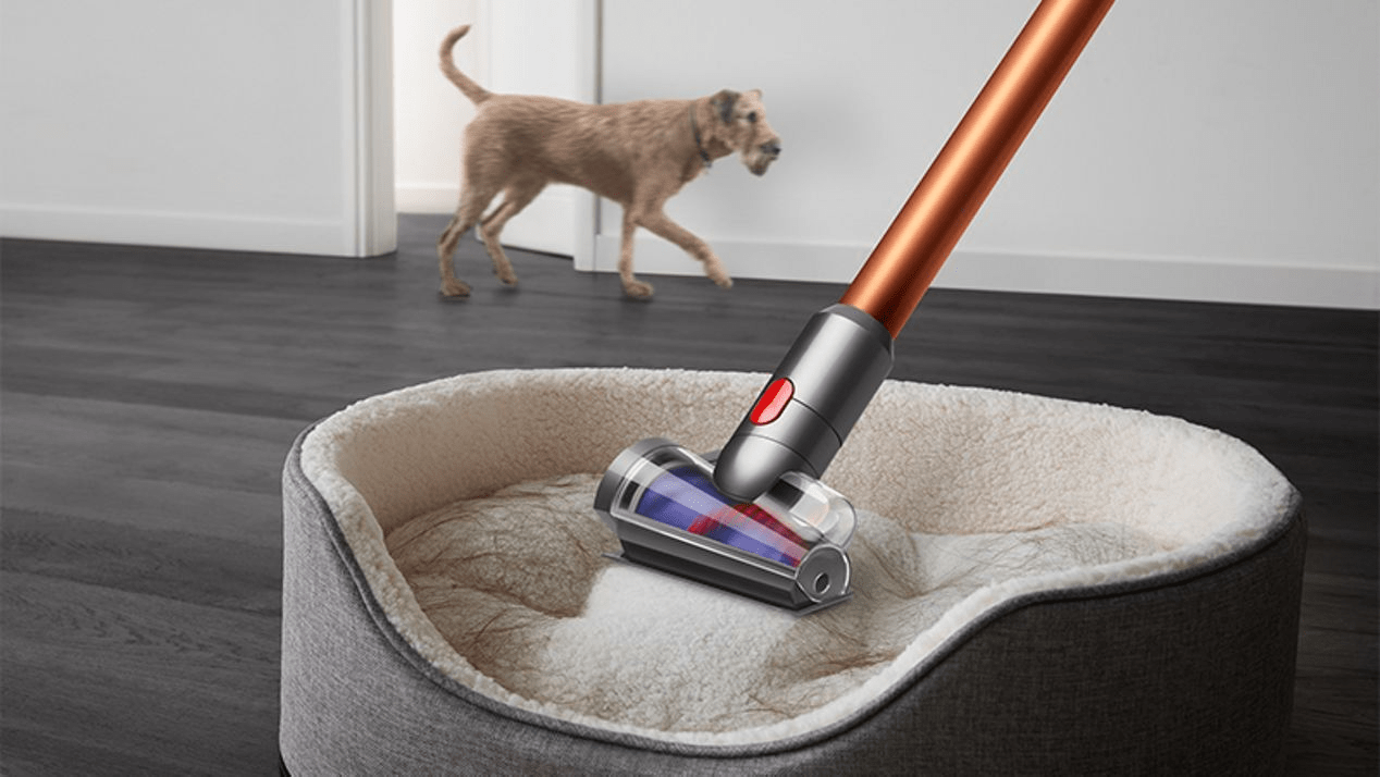 dyson vacuum pet bed