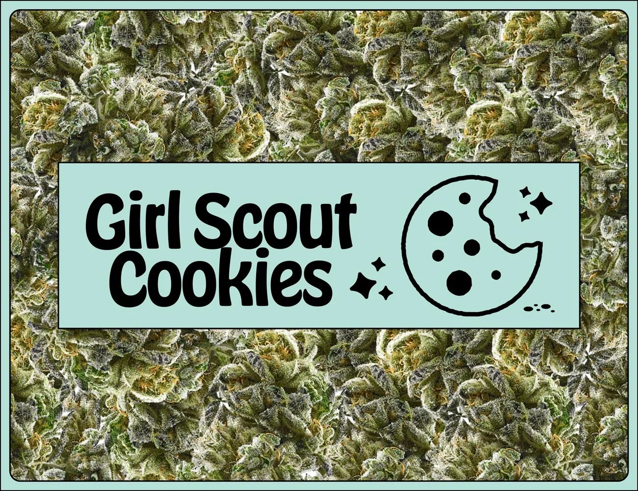 a girl scouts cookie graphic on top of buds of weed