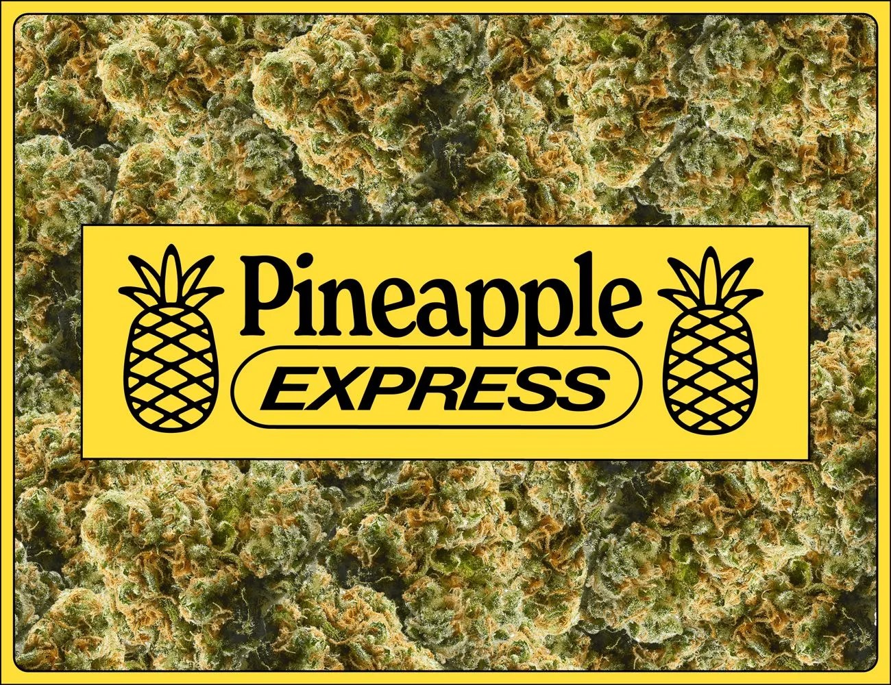 a pineapple express graphic on top of buds of weed