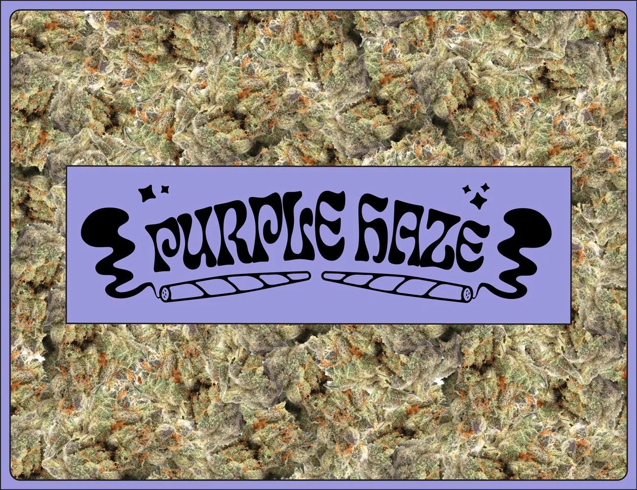 a purple haze graphic on top of buds of weed