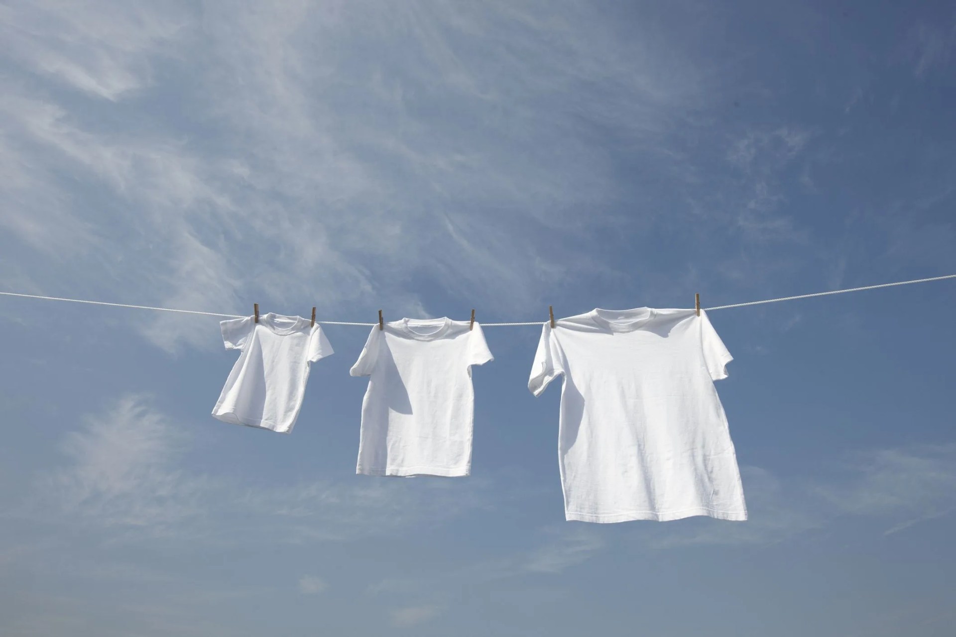 white t shirts in a row on washing line
