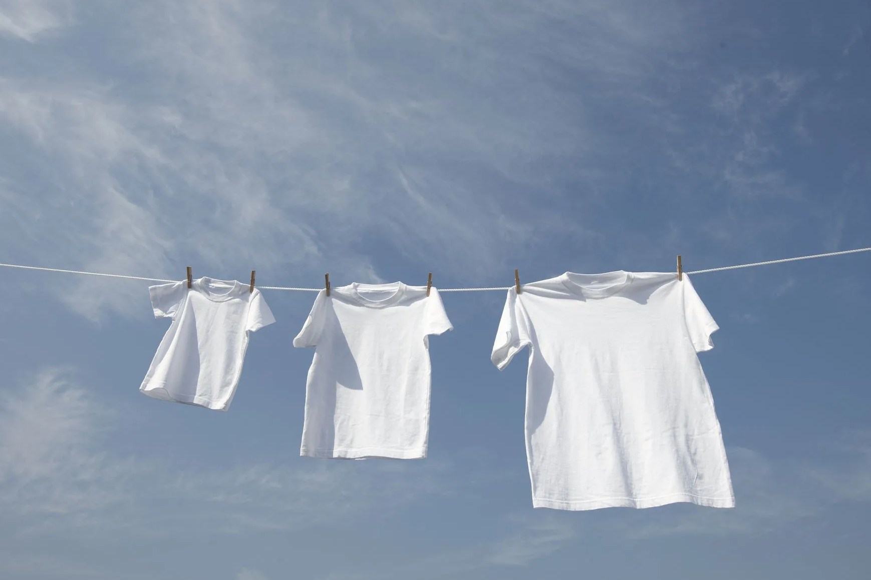 white t shirts in a row on washing line