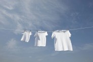 white t shirts in a row on washing line