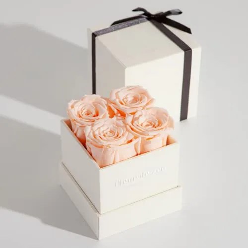 Forever Roses in a Box
