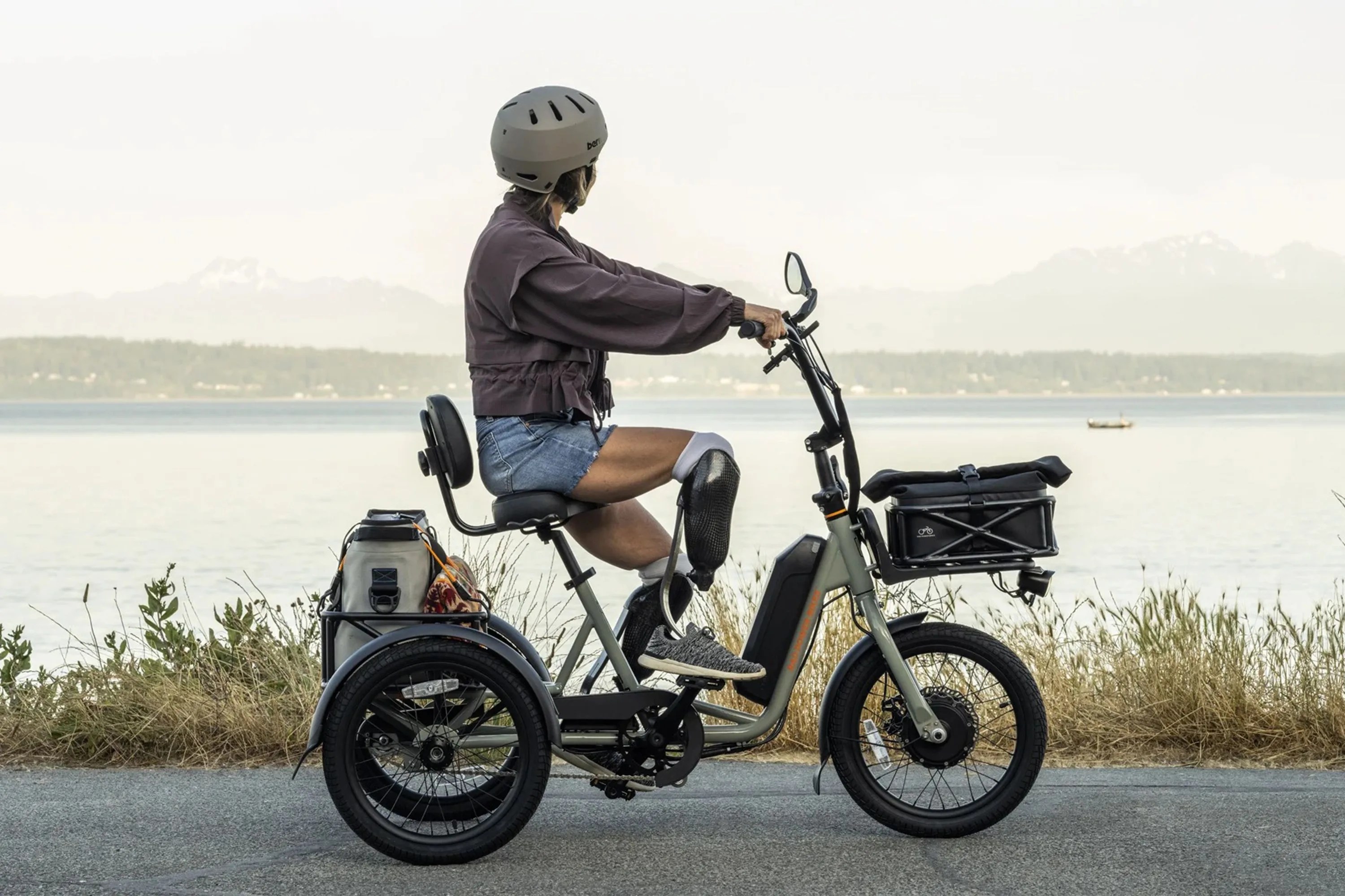 electric tricycle