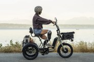 electric tricycle