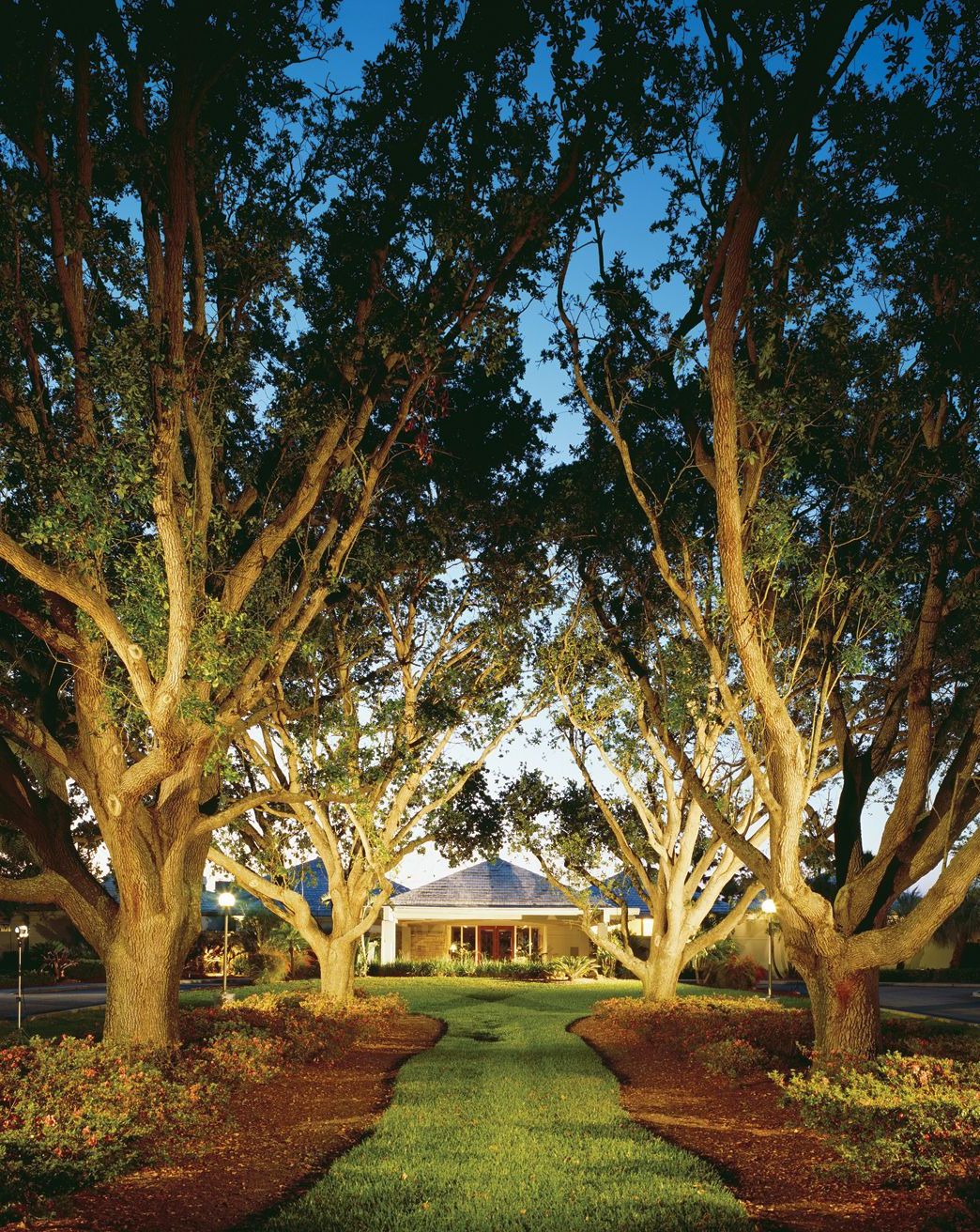 opal collection the resort