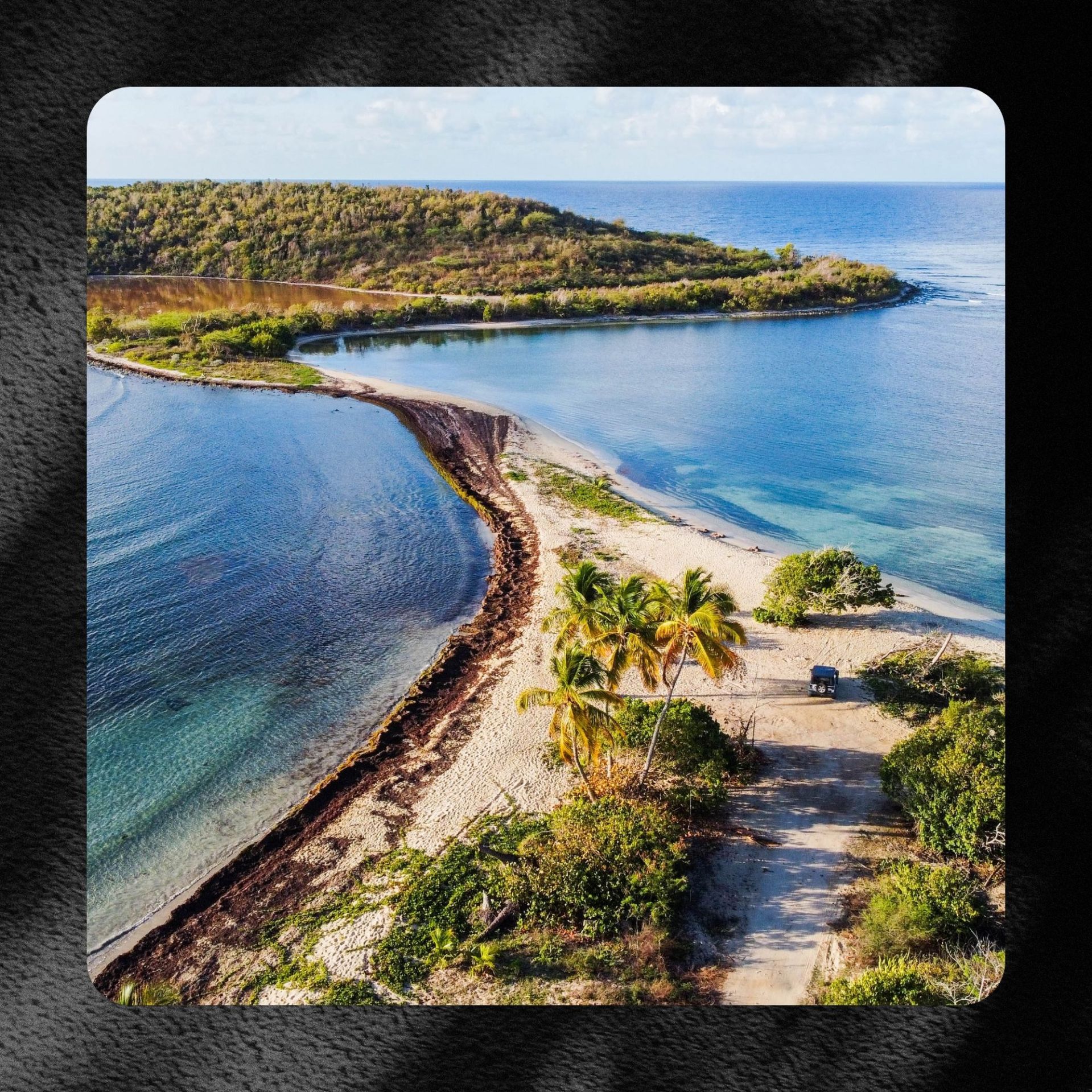 vieques sweepstakes