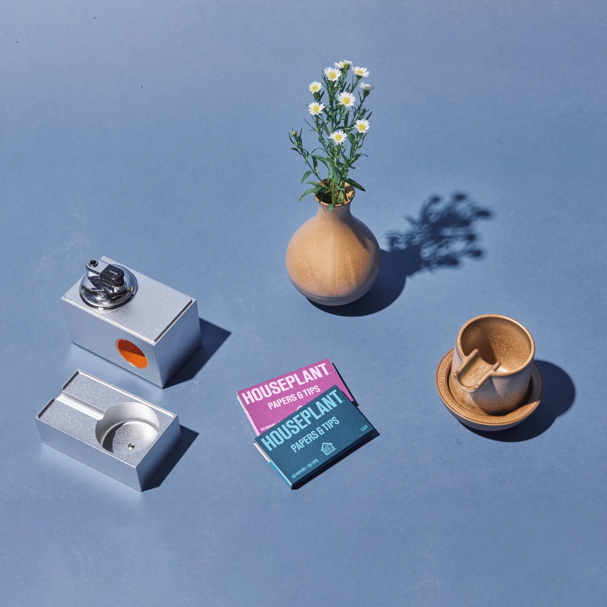 houseplant starter kit