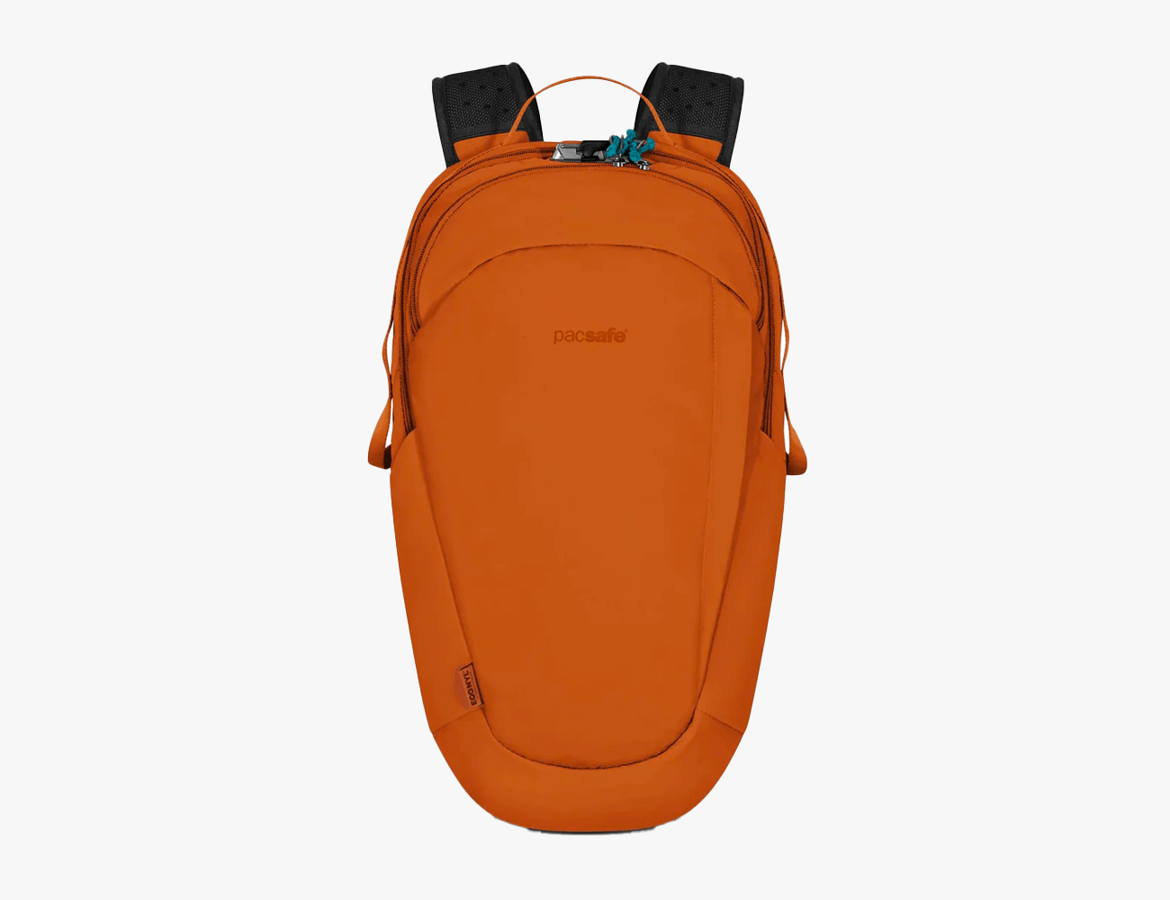 pacsafe backpack