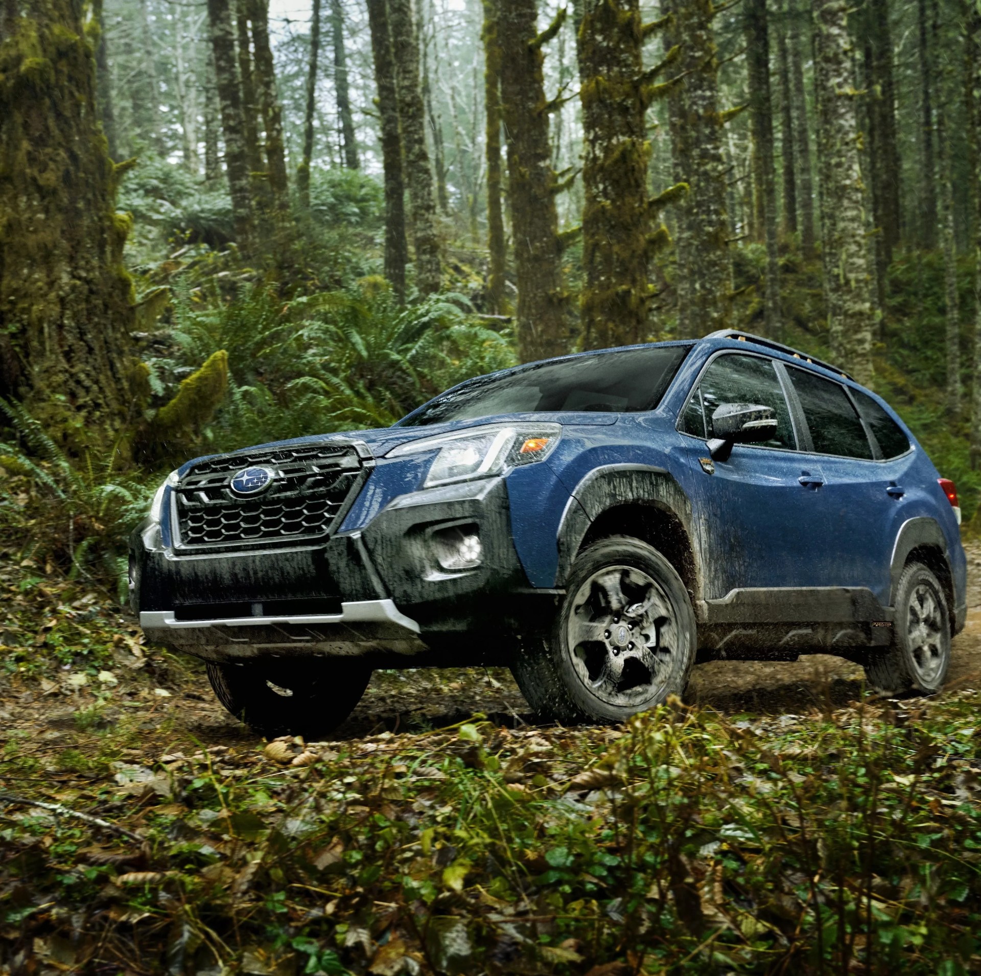 subaru forester wilderness