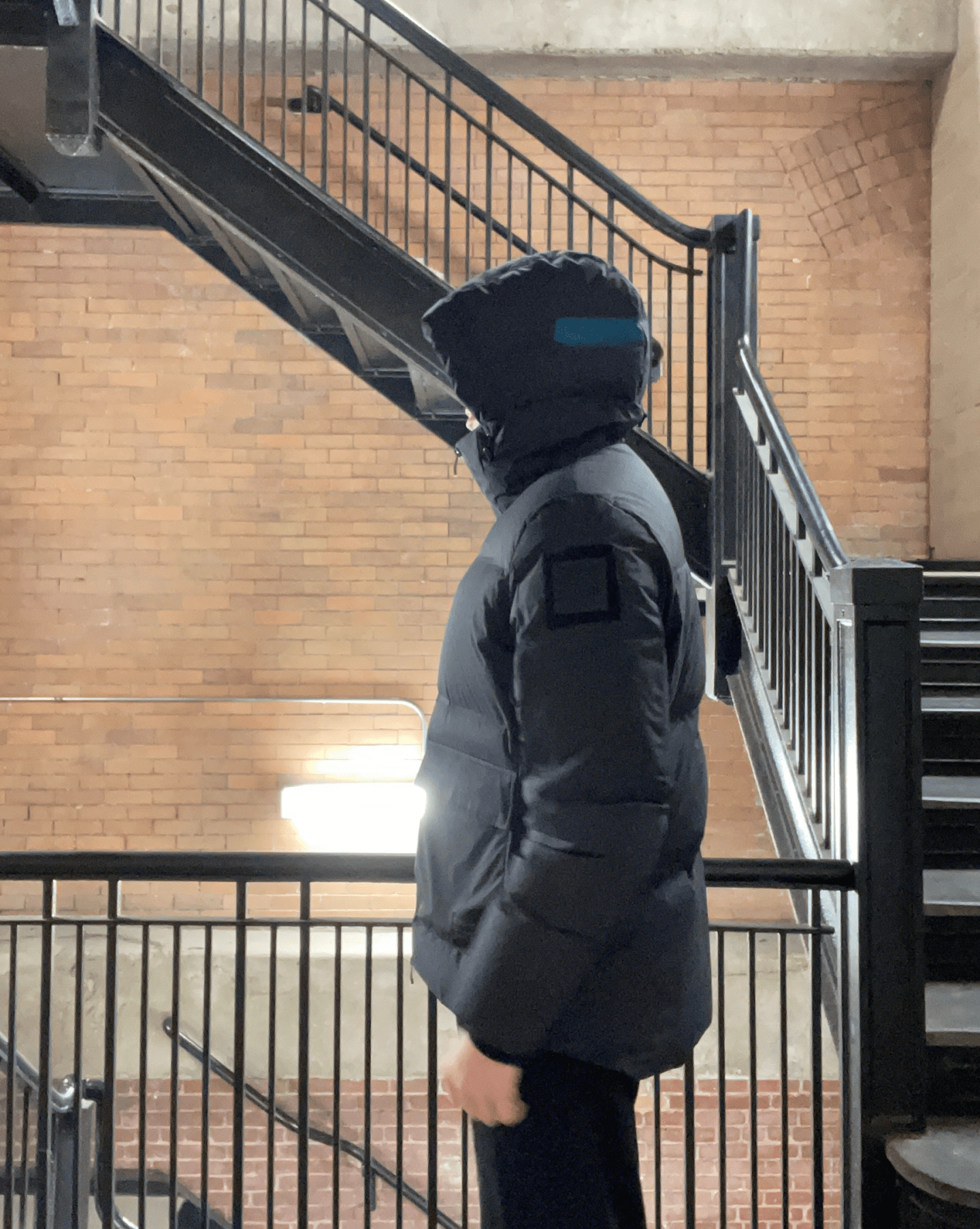 nobis hood