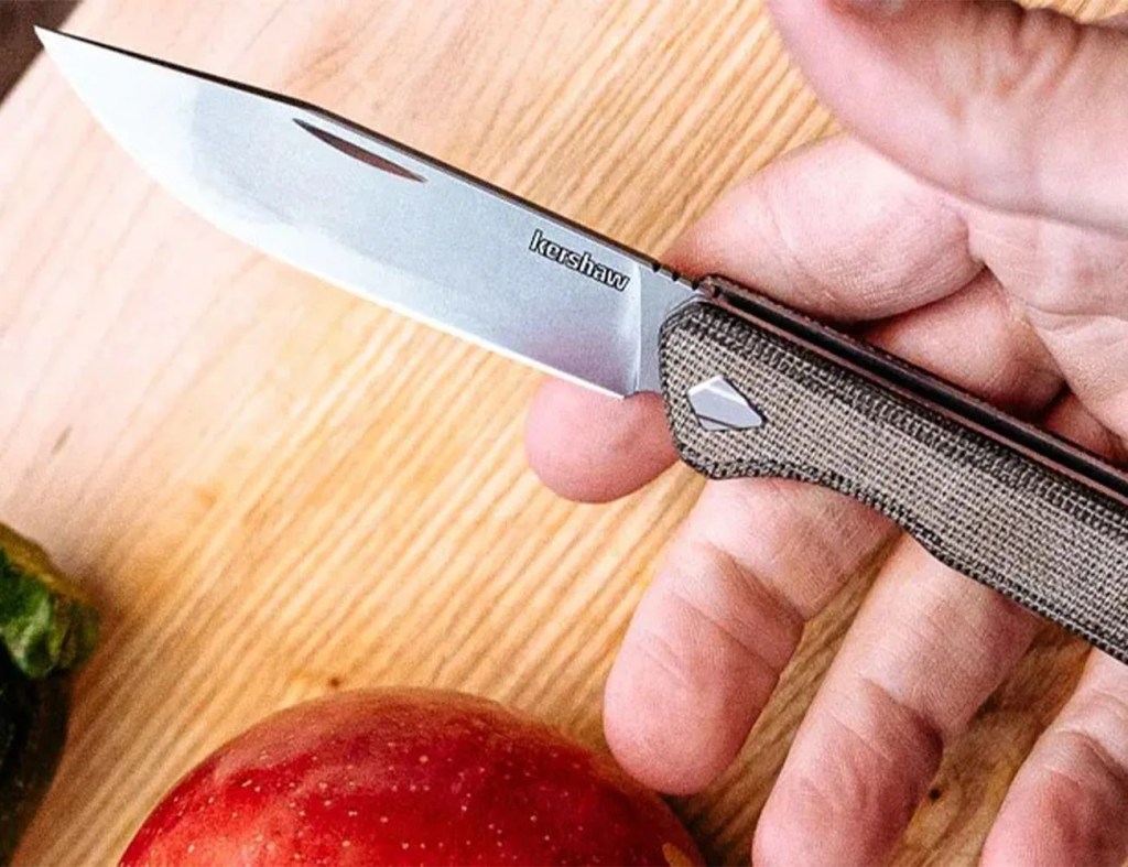 a hand holding a knife