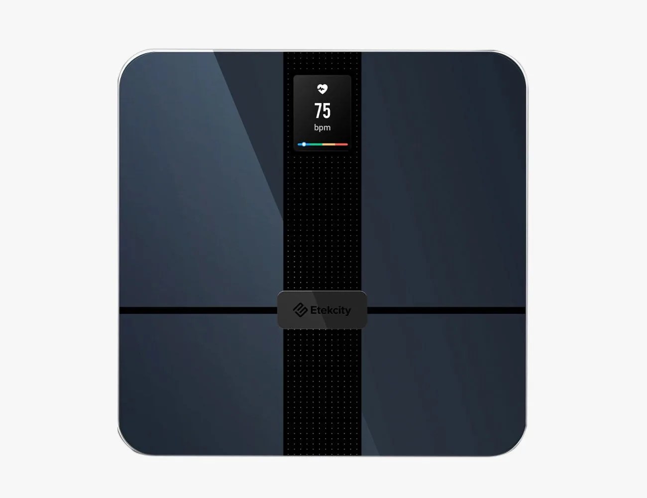 HR Smart Fitness Scale