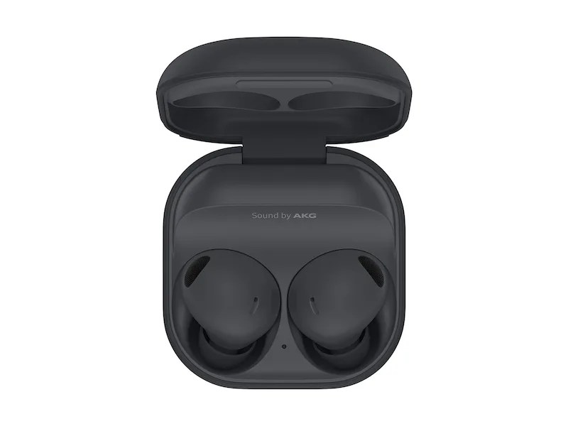 Galaxy Buds2 Pro, Graphite
