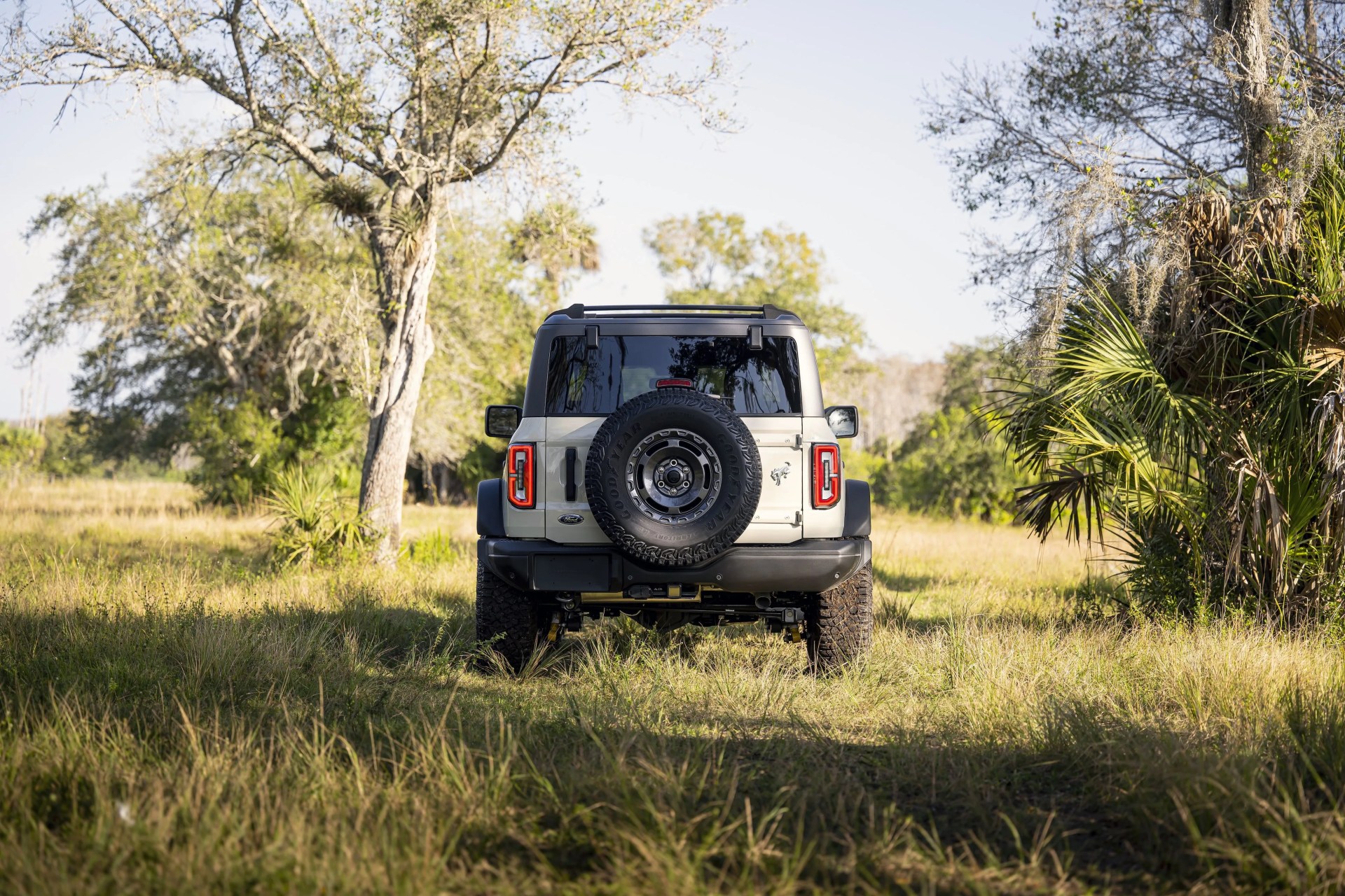 ford bronco everglades