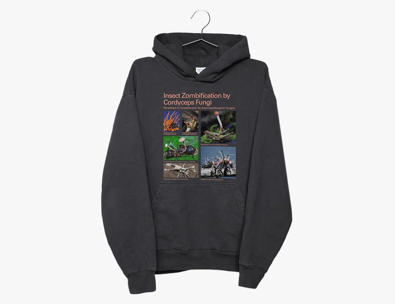 hoodie on a hanger