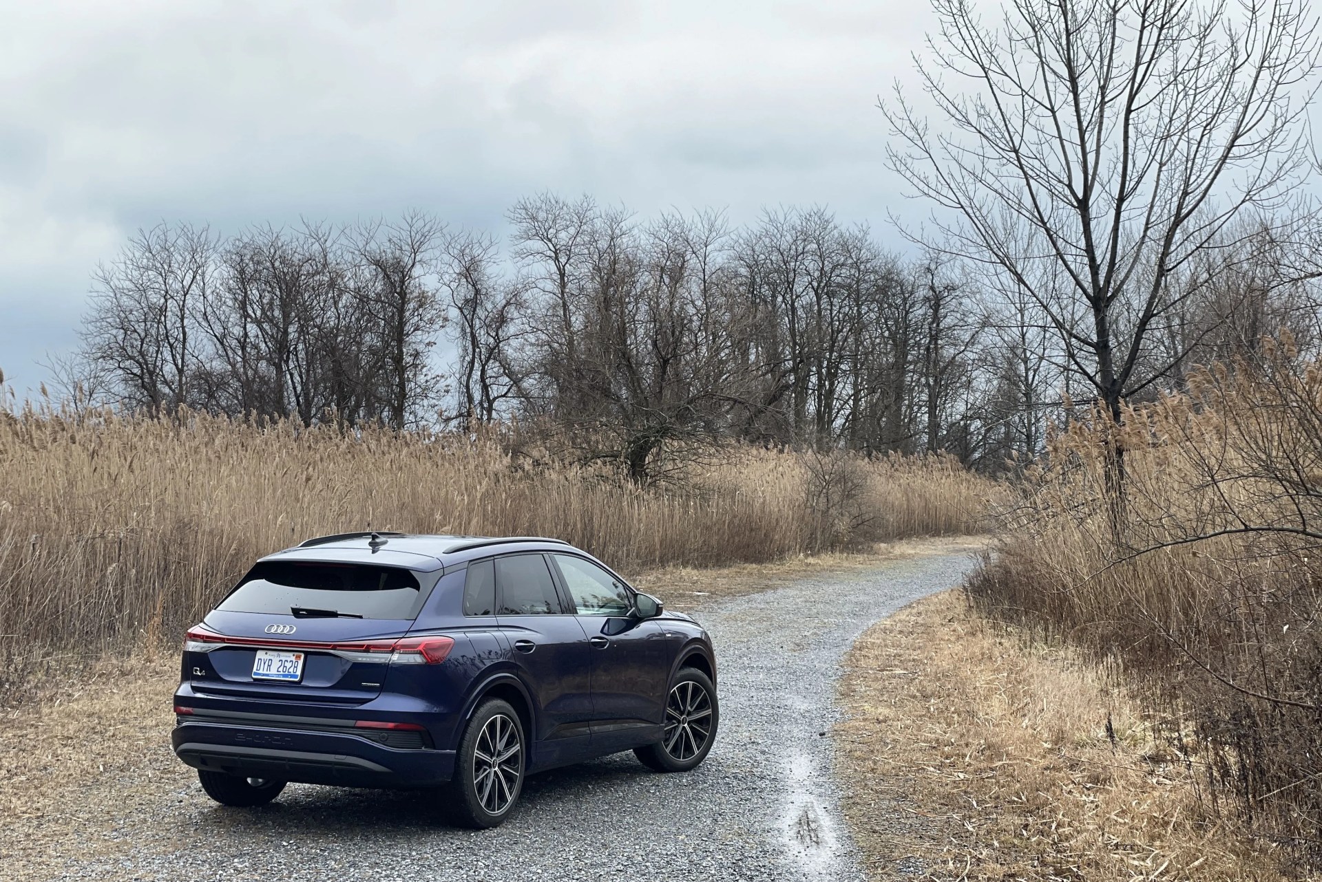 audi q4 e tron
