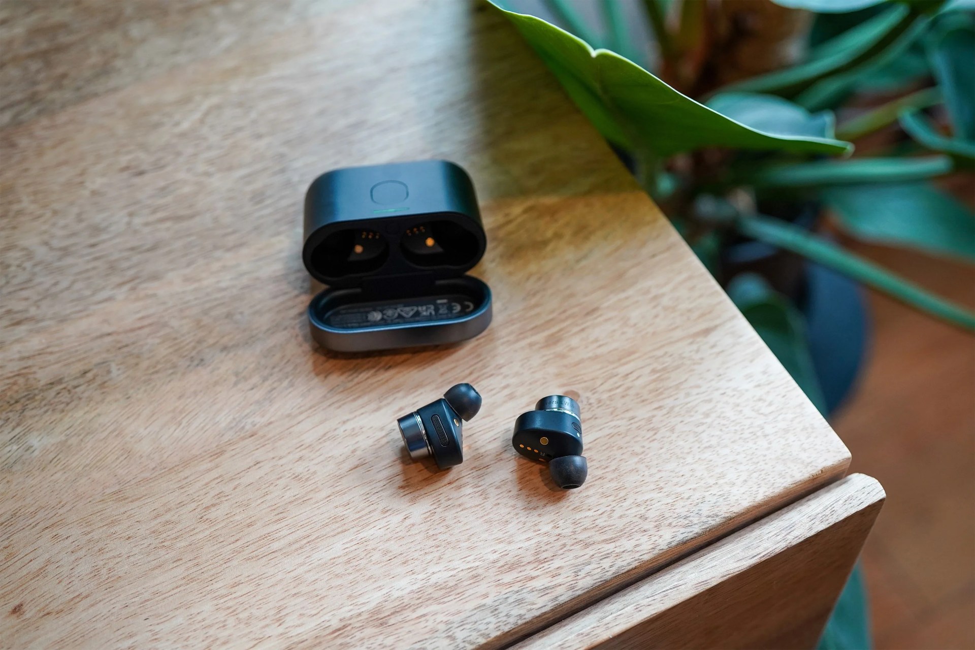 ear buds