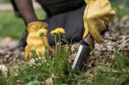 a man gardening