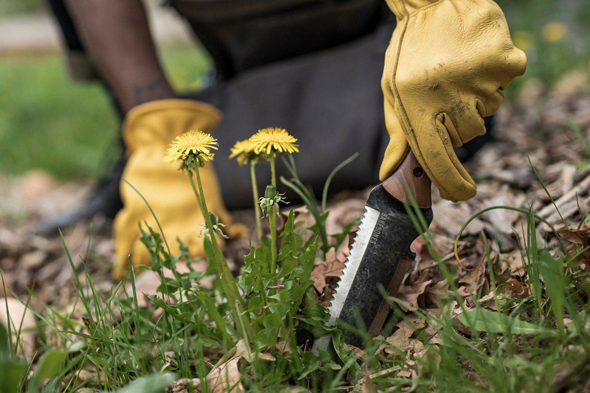 a man gardening