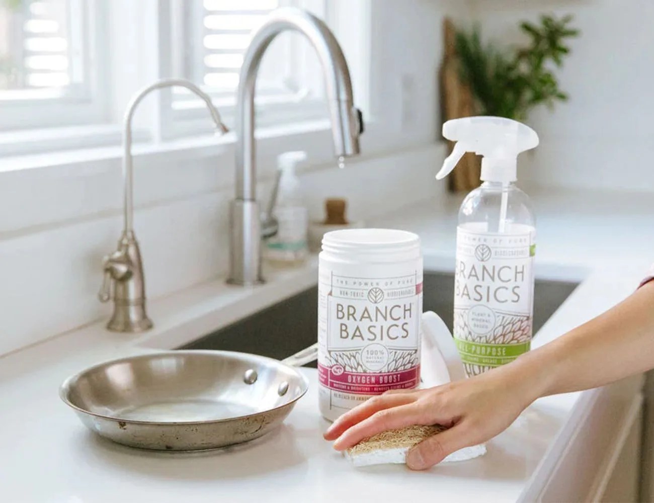 cleaning supplies on a kitchen counter next to a sink and frying pan