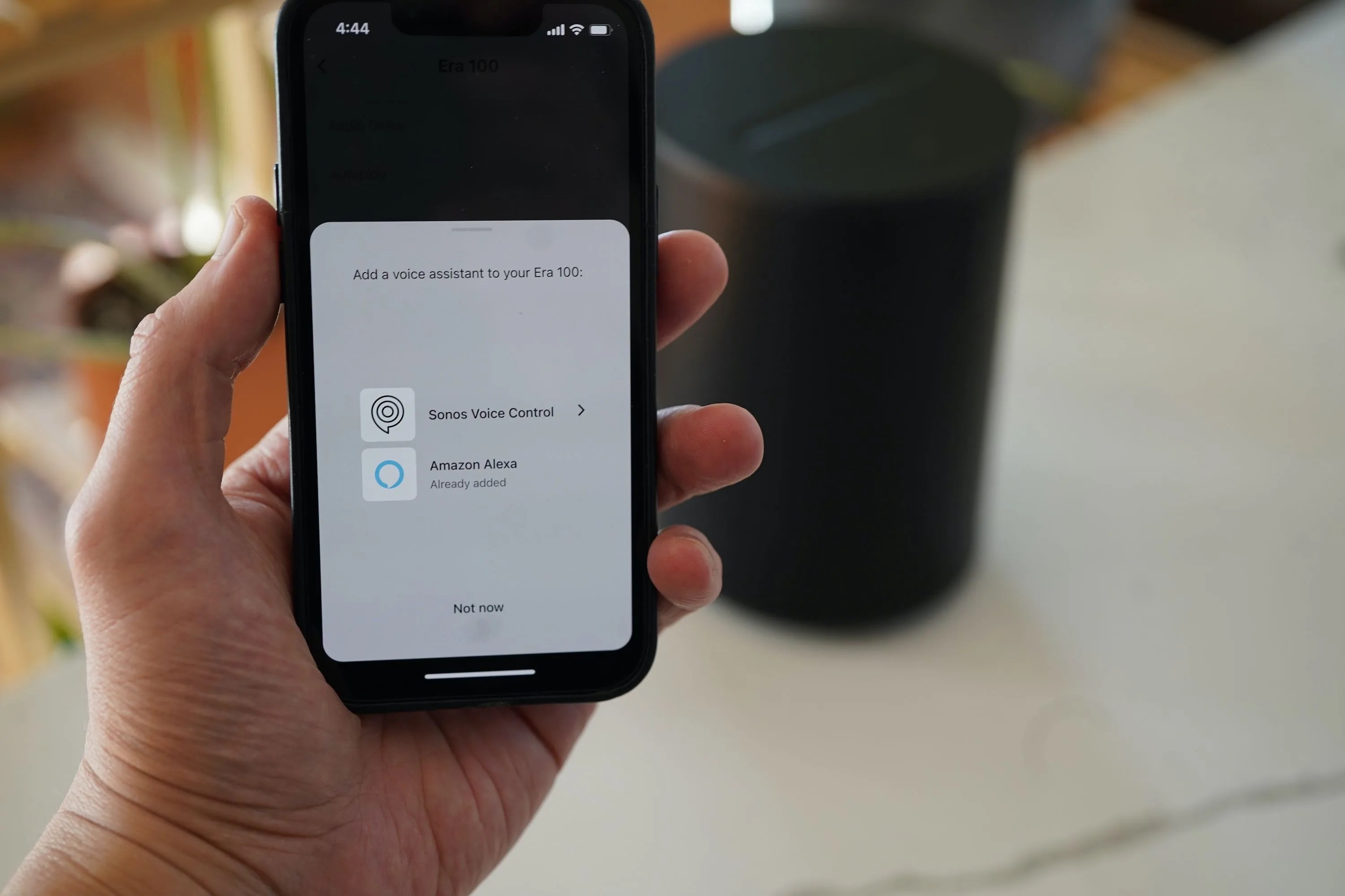 Sonos Era 100 vs One speakers