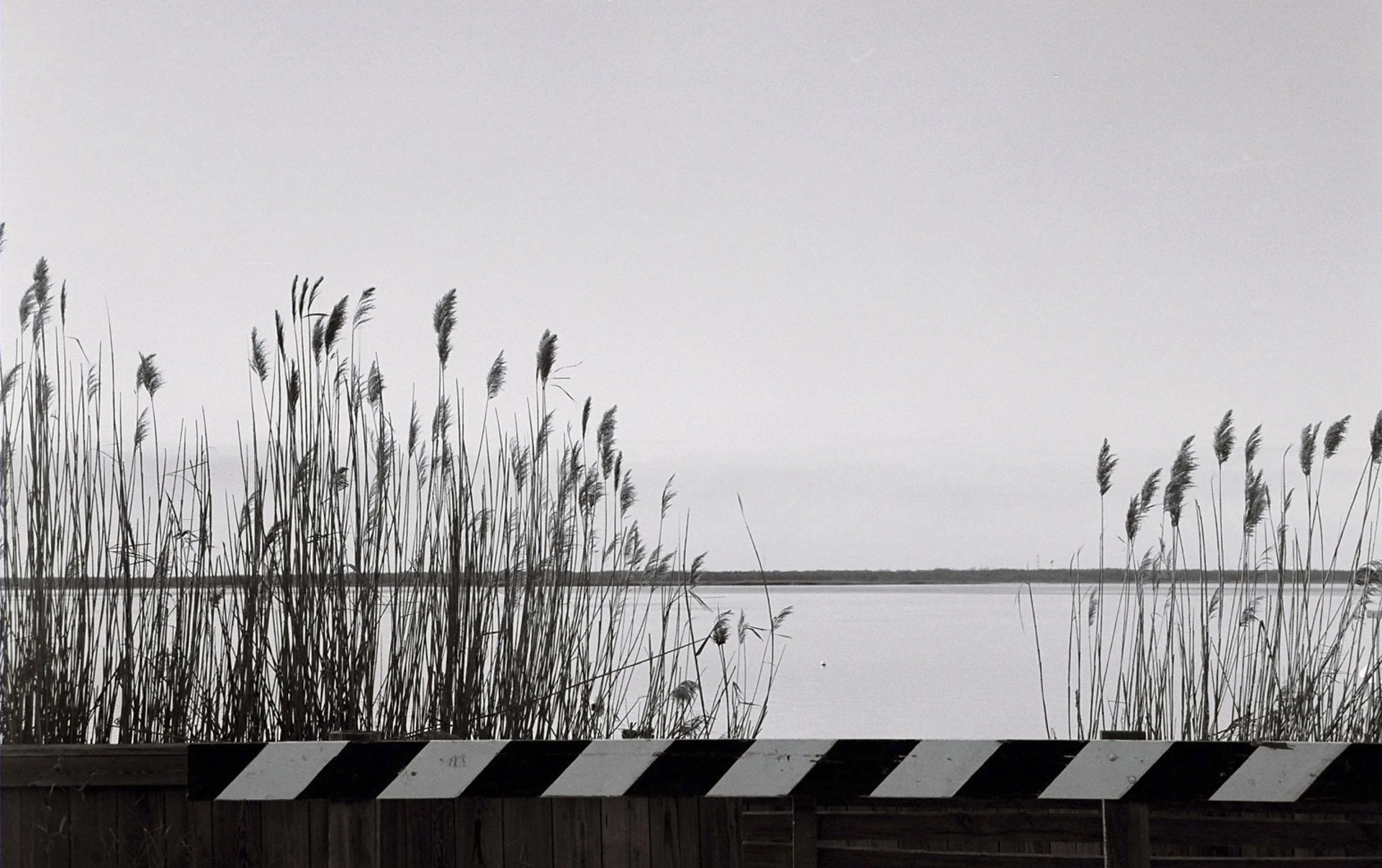film
