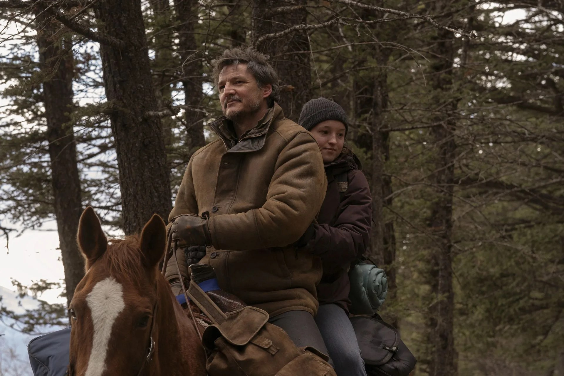 pedro pascal last of us
