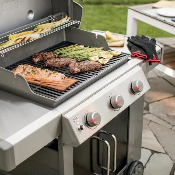 weber genesis ii