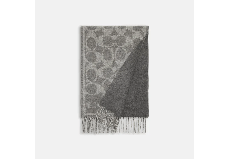 coach printed scarf