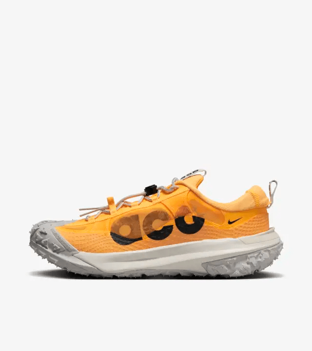Nike ACG Mountain Fly 2 Low