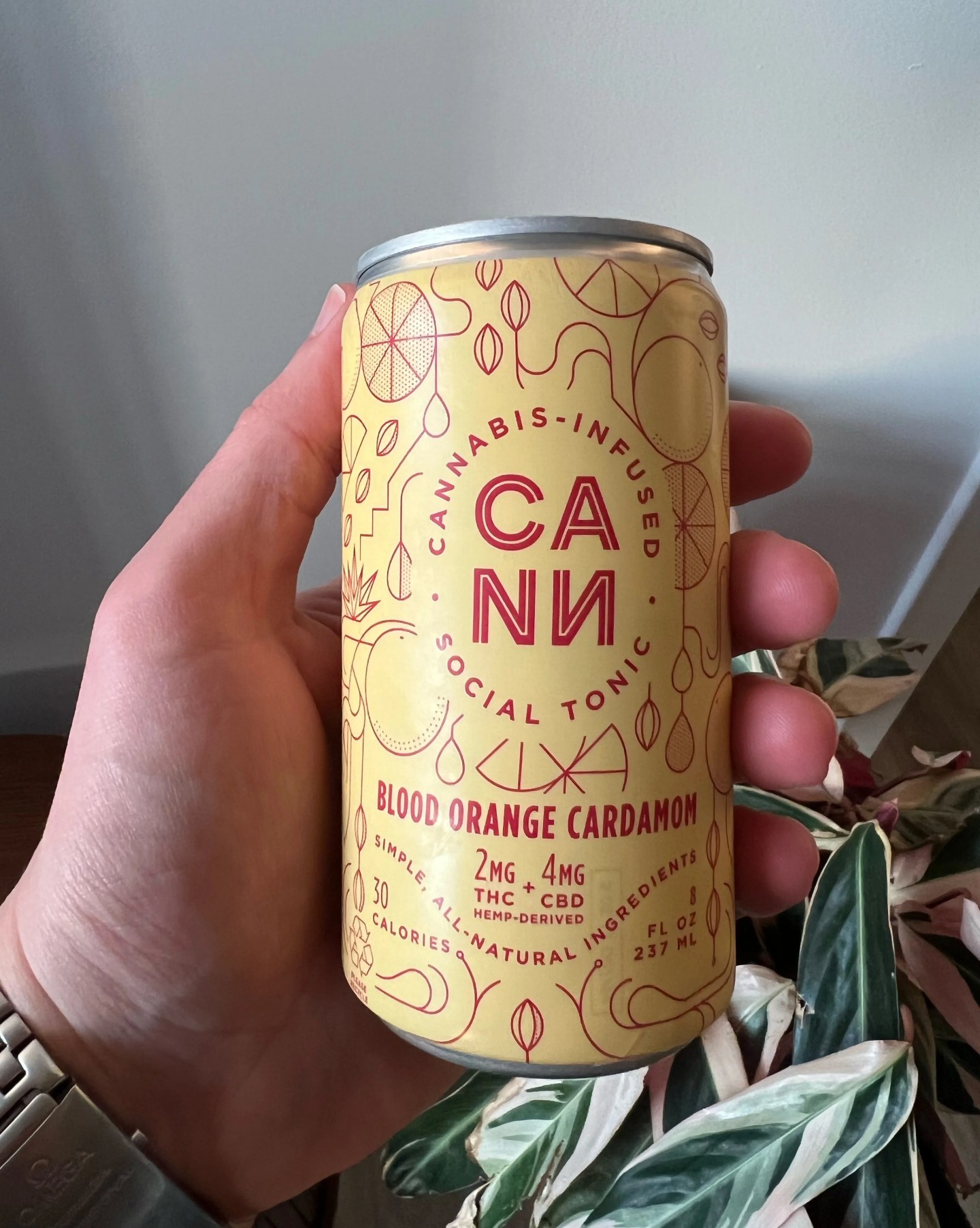 a hand holding a can of cbd tonic