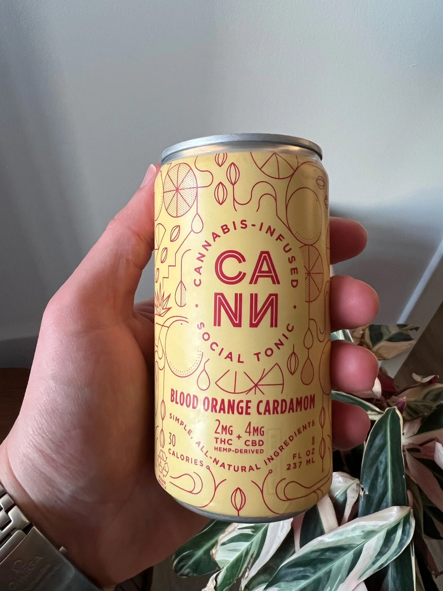 a hand holding a can of cbd tonic