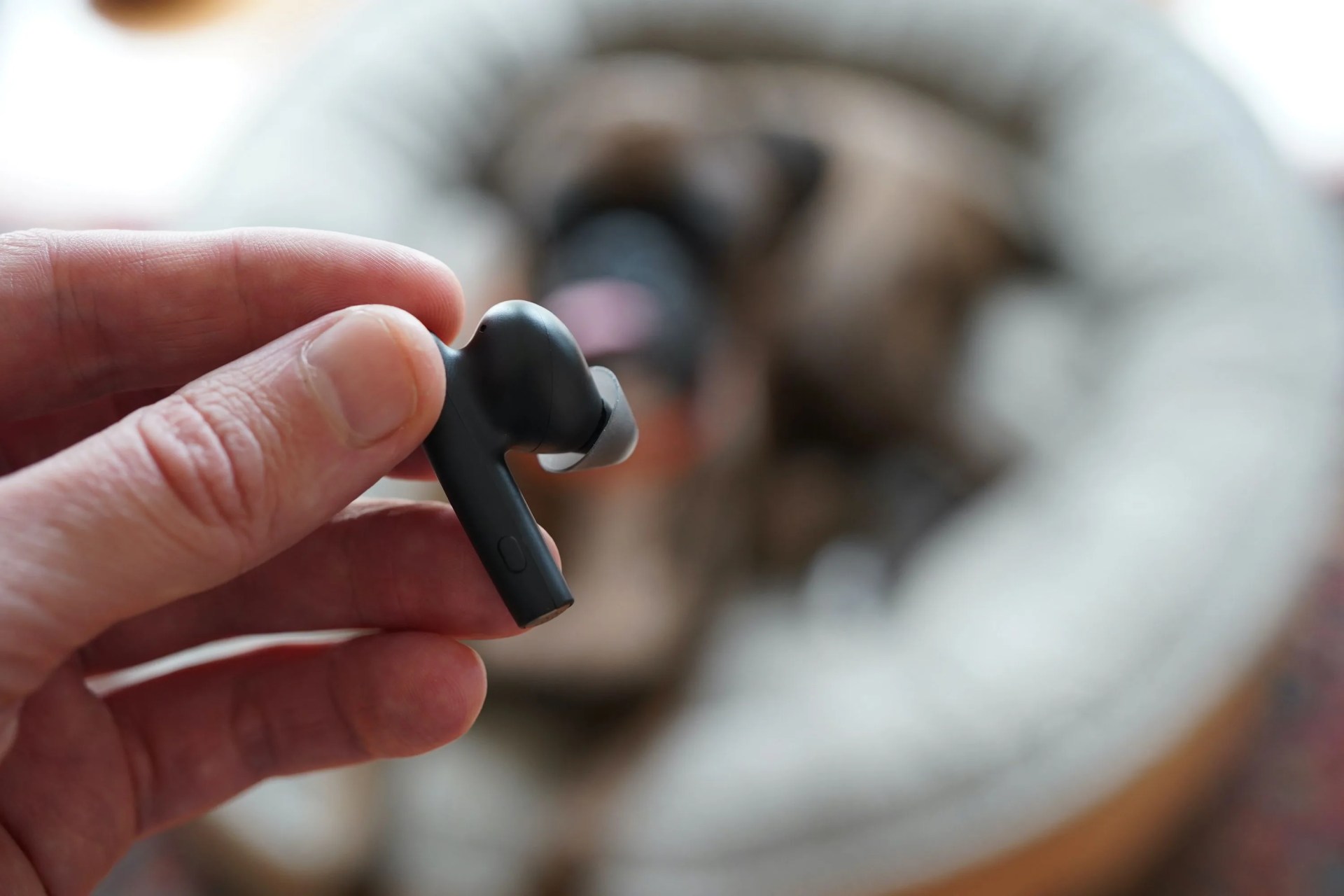 poly voyager earbuds