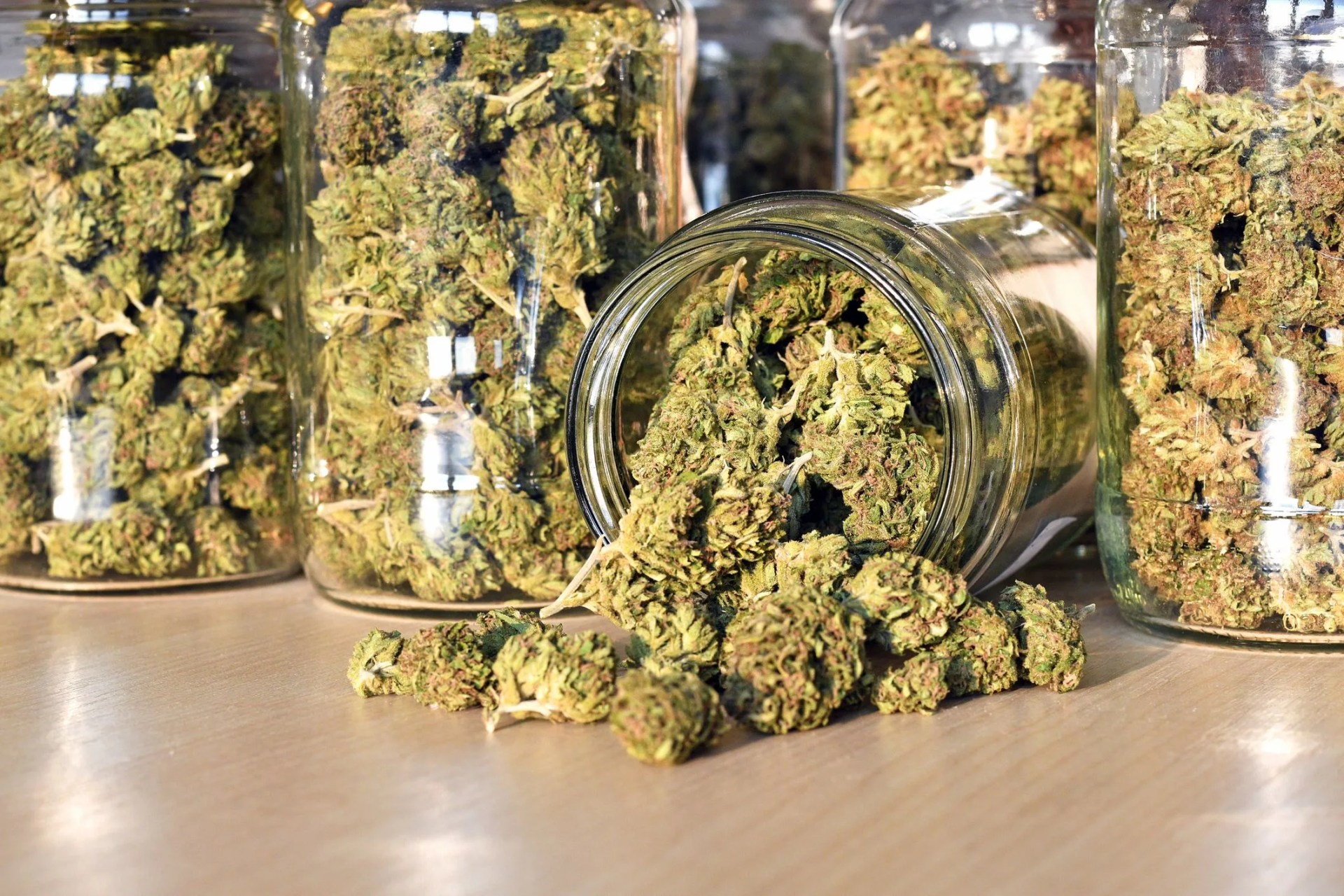dry and trimmed cannabis buds, stored in a glass jars medical cannabis