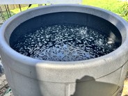 best cold plunge tubs