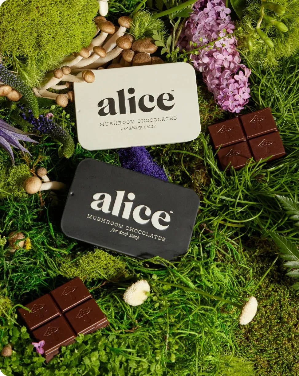 alice mushroom chocolates the duo