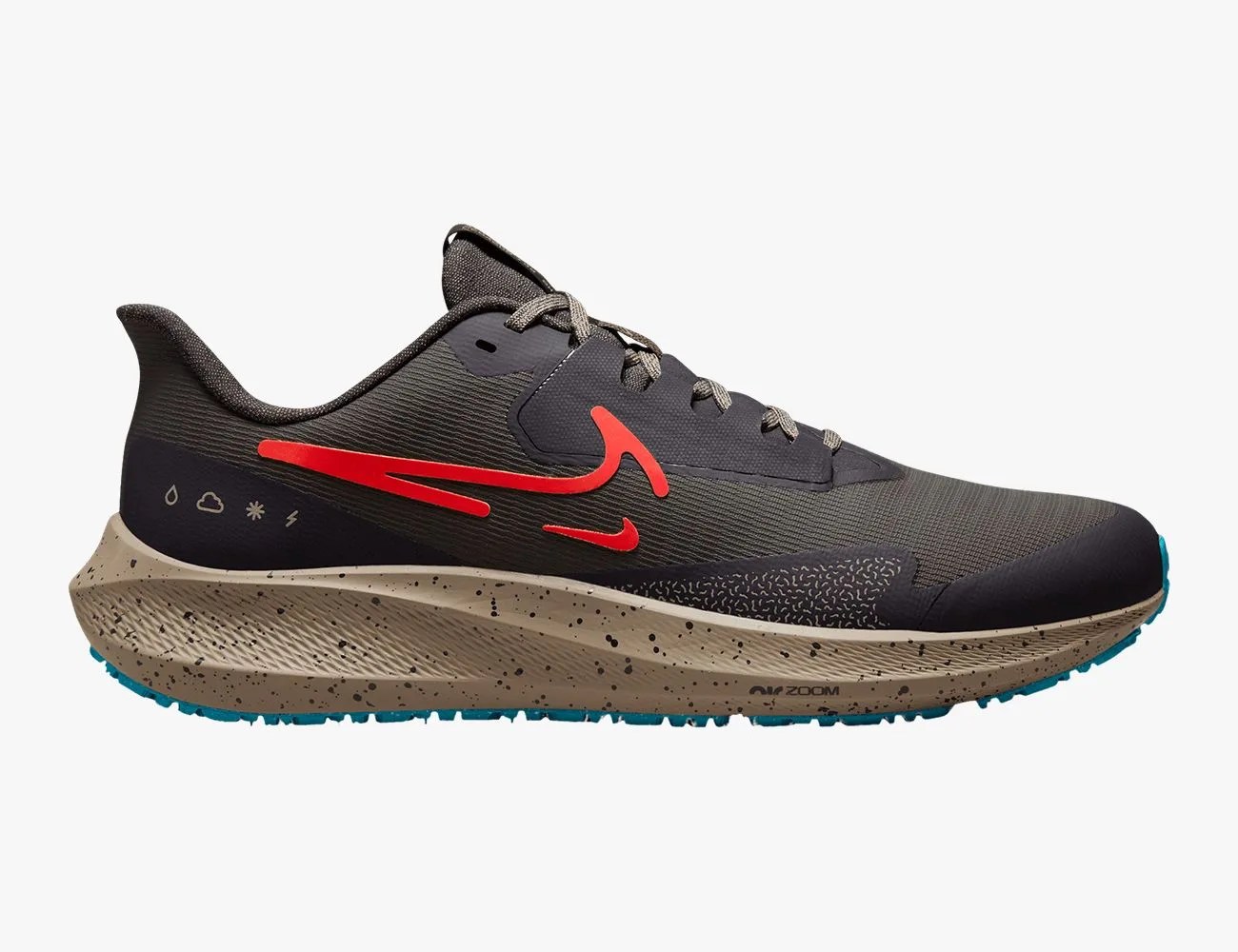 Nike Air Zoom Pegasus 39 Shield
