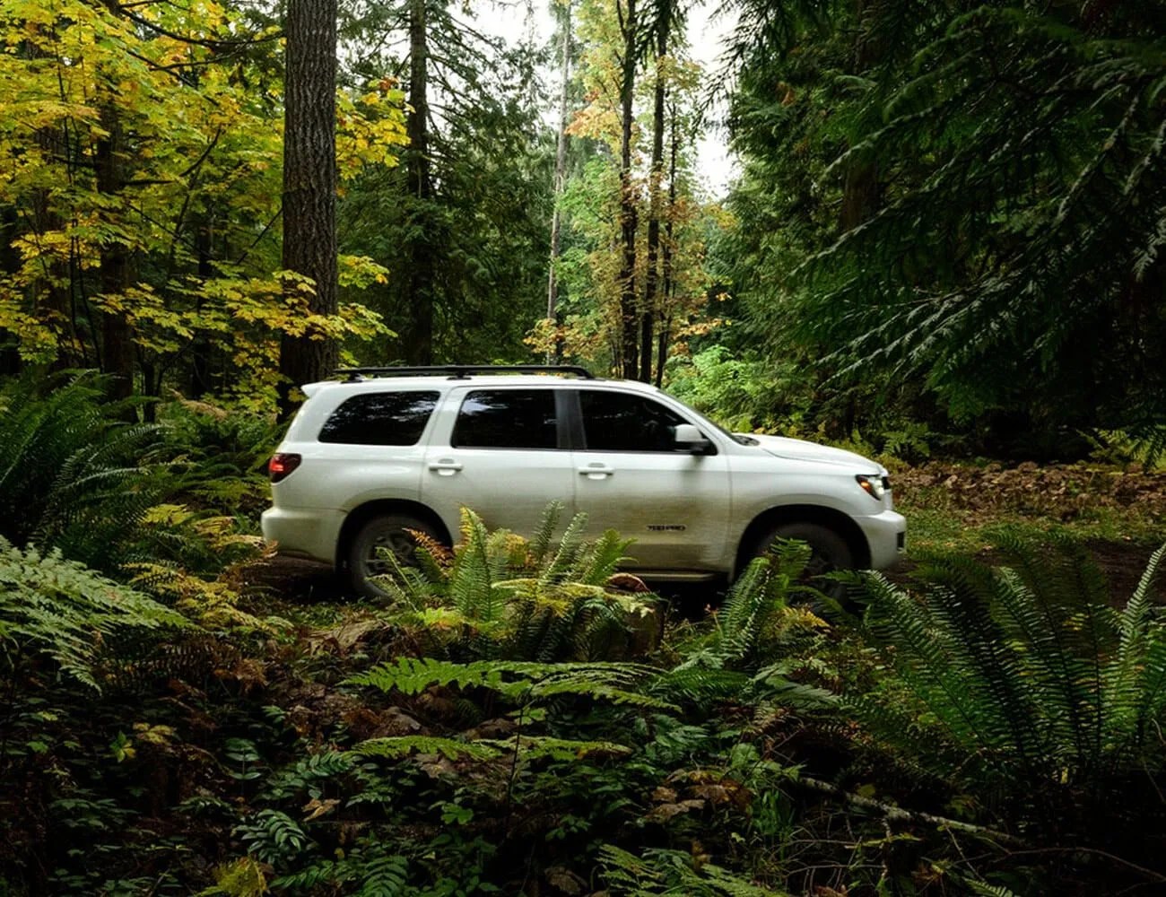 2020 sequoia gear patrol